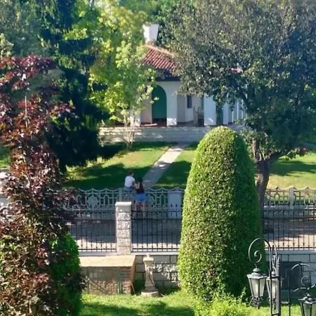 Magnolia كافالّينو